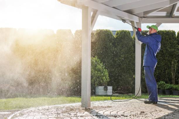 Best Roof Washing  in Athens, AL